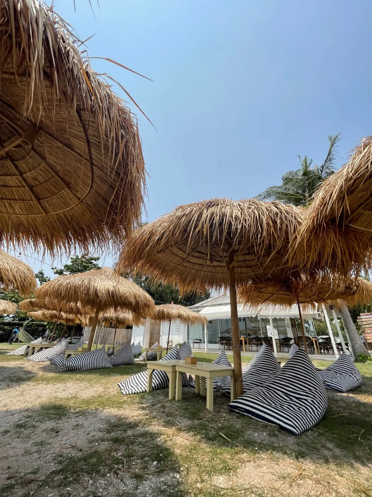 ซีเครต บีช คาเฟ่ แอนด์ บริโตร ambiance image 2