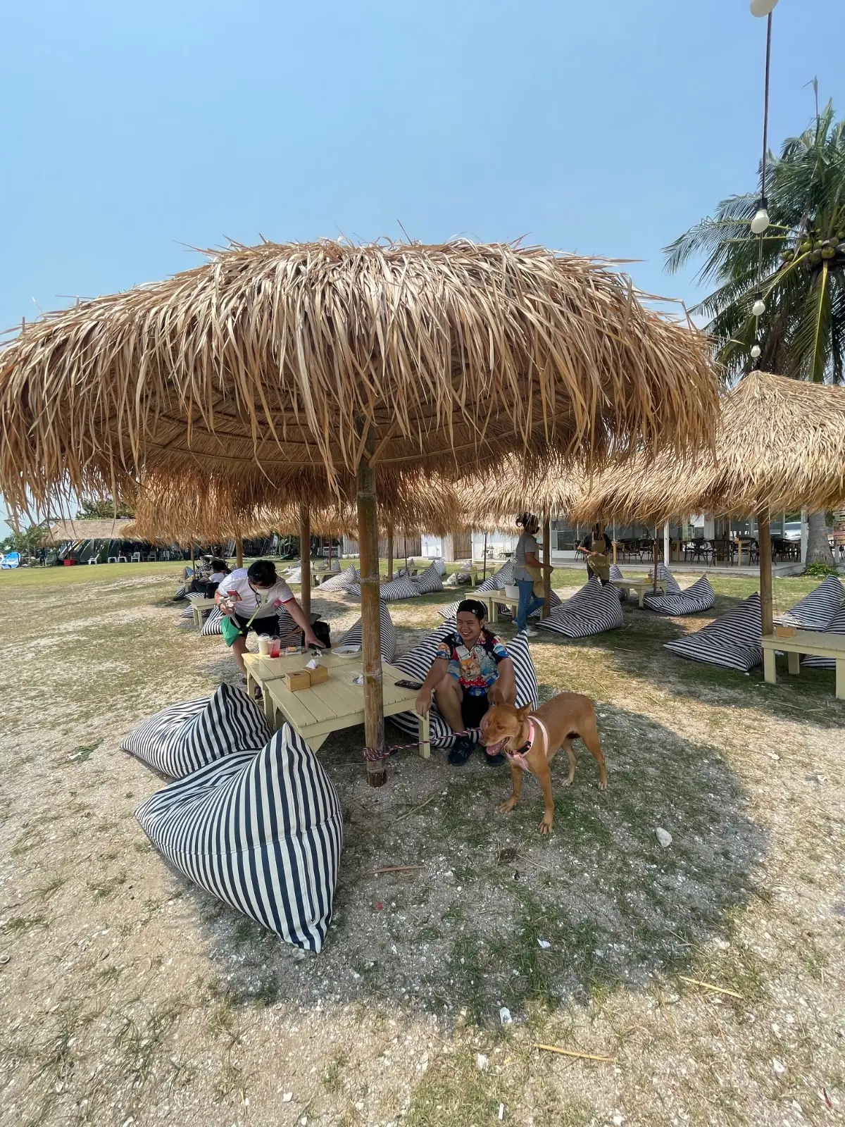 ซีเครต บีช คาเฟ่ แอนด์ บริโตร ambiance image 1