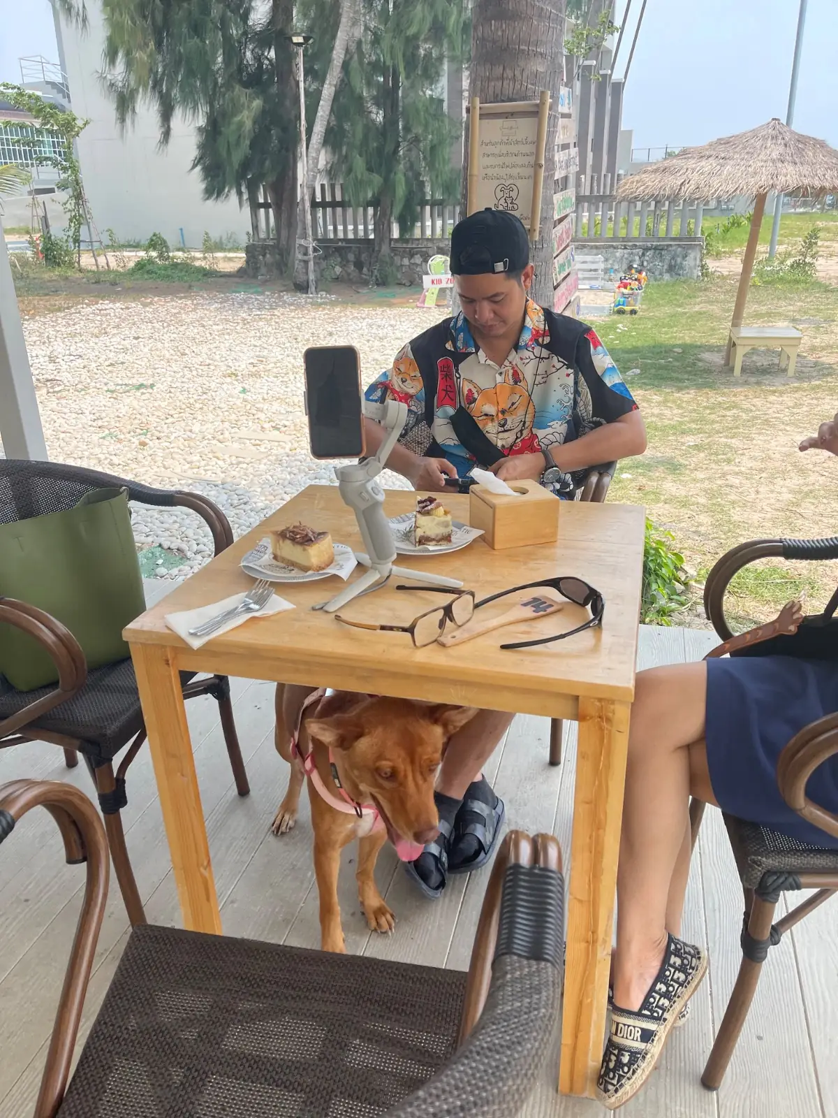 ซีเครต บีช คาเฟ่ แอนด์ บริโตร pets image 1