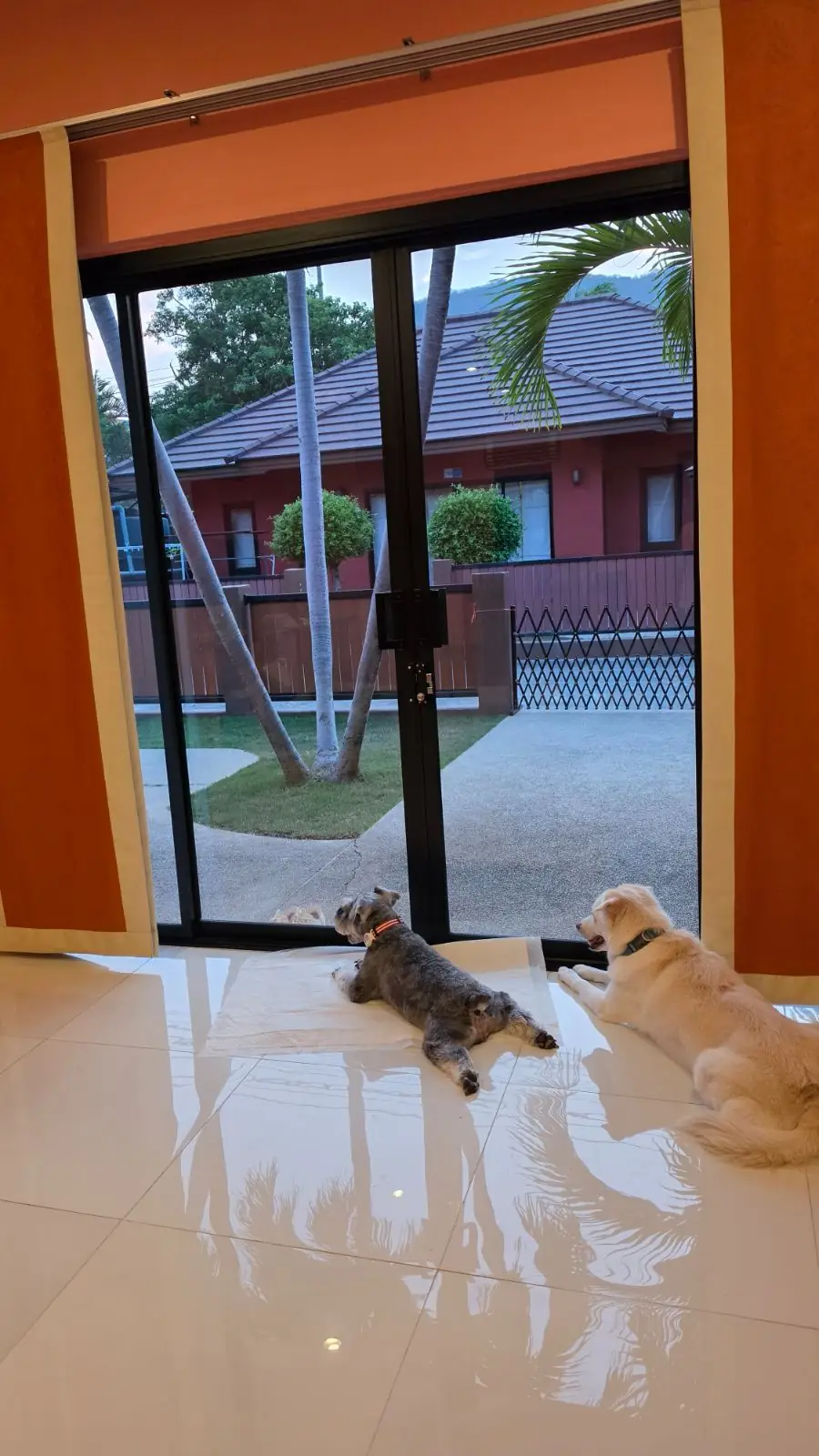Baan Mesuk Hua-Hin Spa & Resort pets image 1