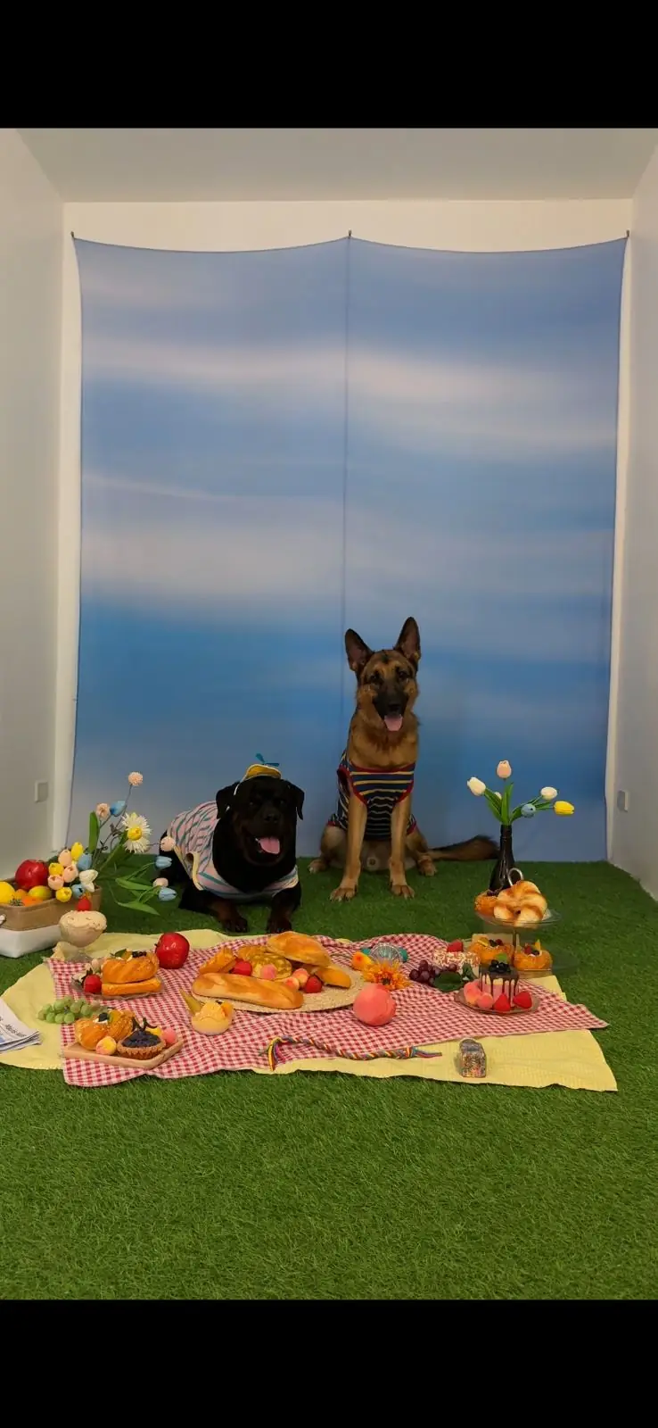 Cuddle Capture Studio pets image 2