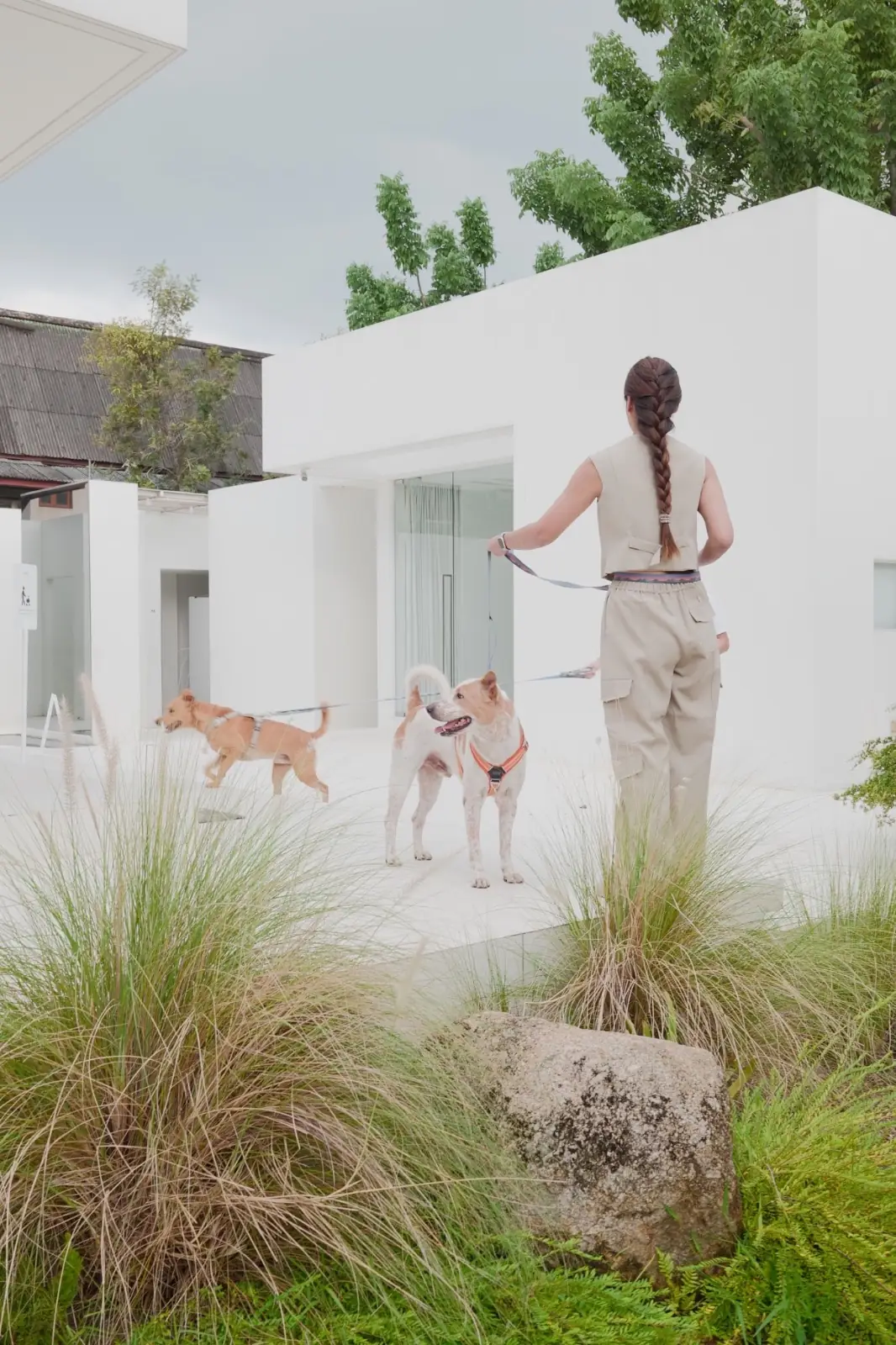 dash.space pets image 5