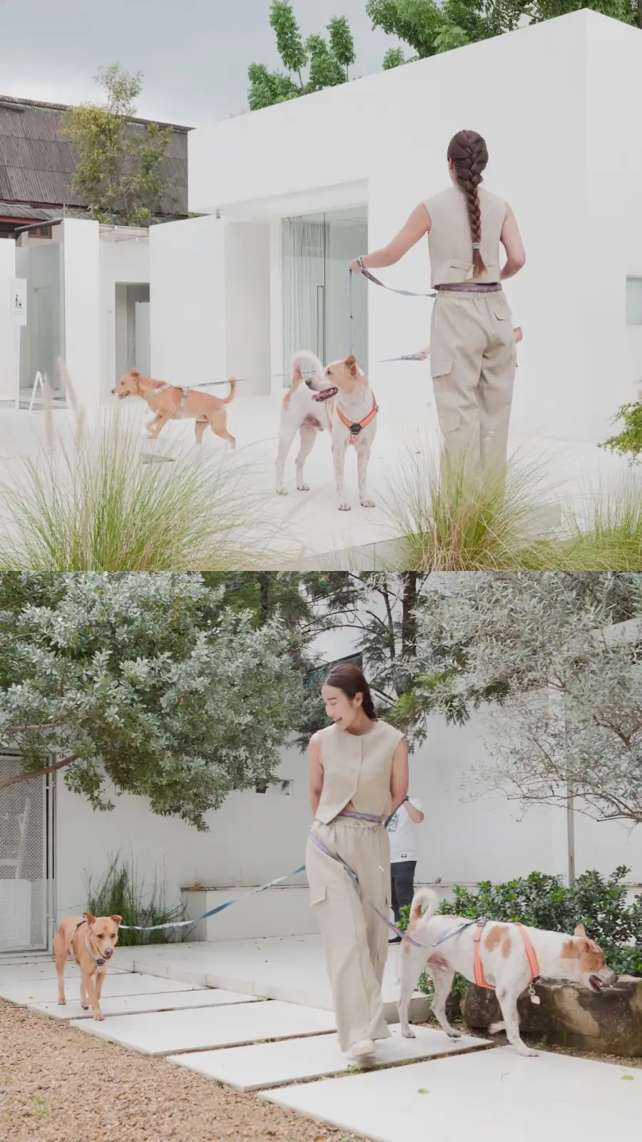 dash.space pets image 8