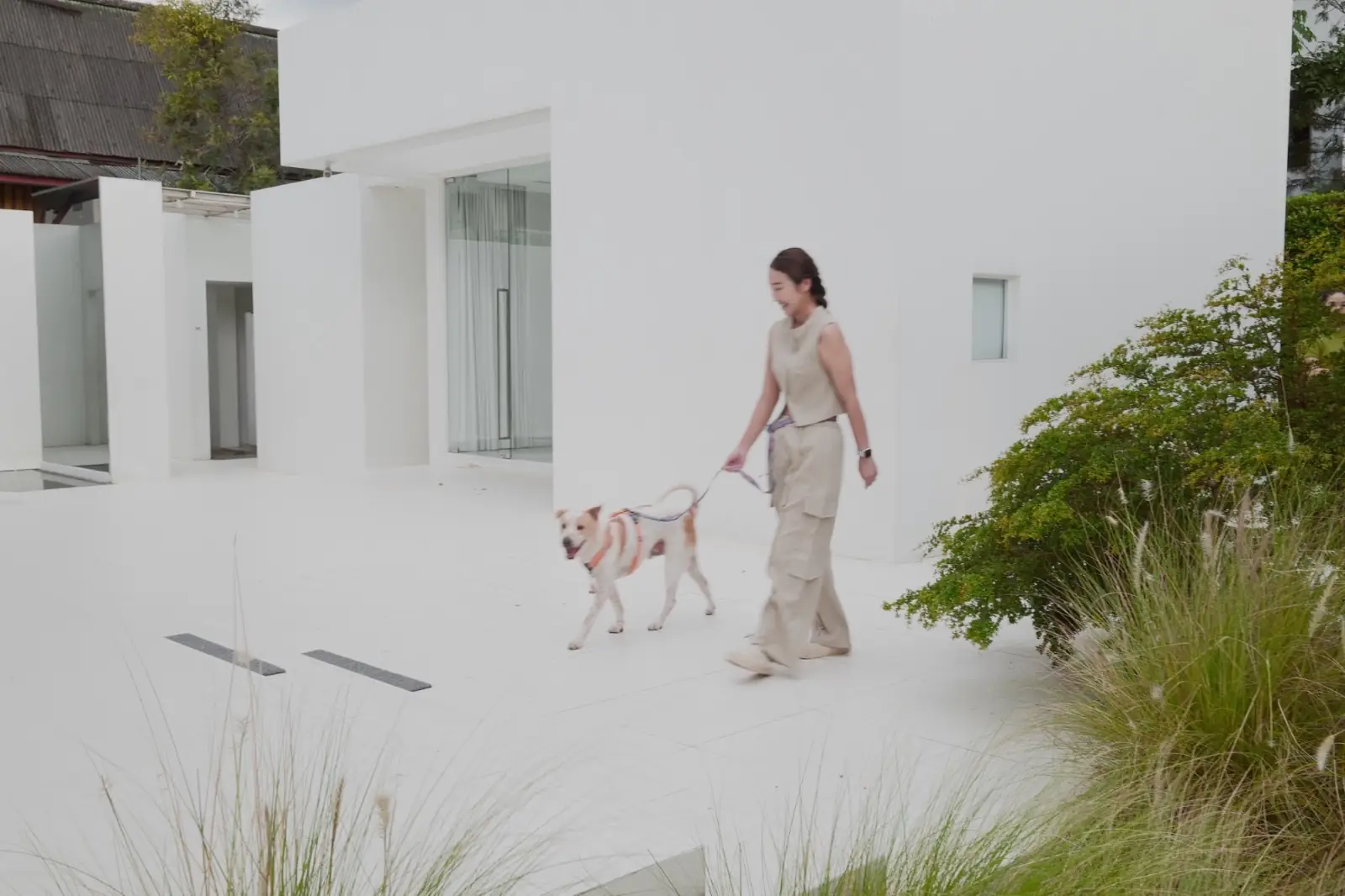 dash.space pets image 2