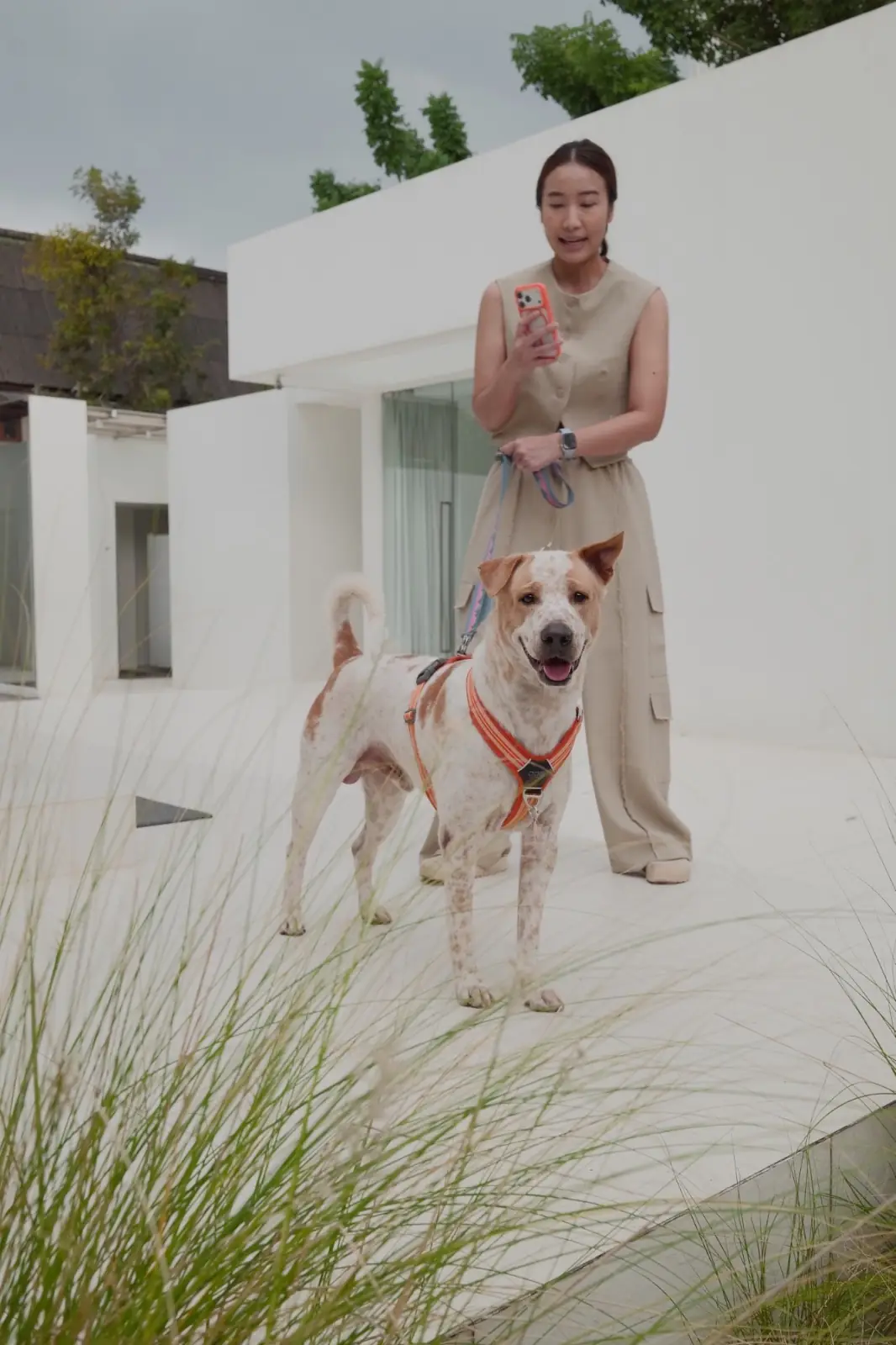 dash.space pets image 3