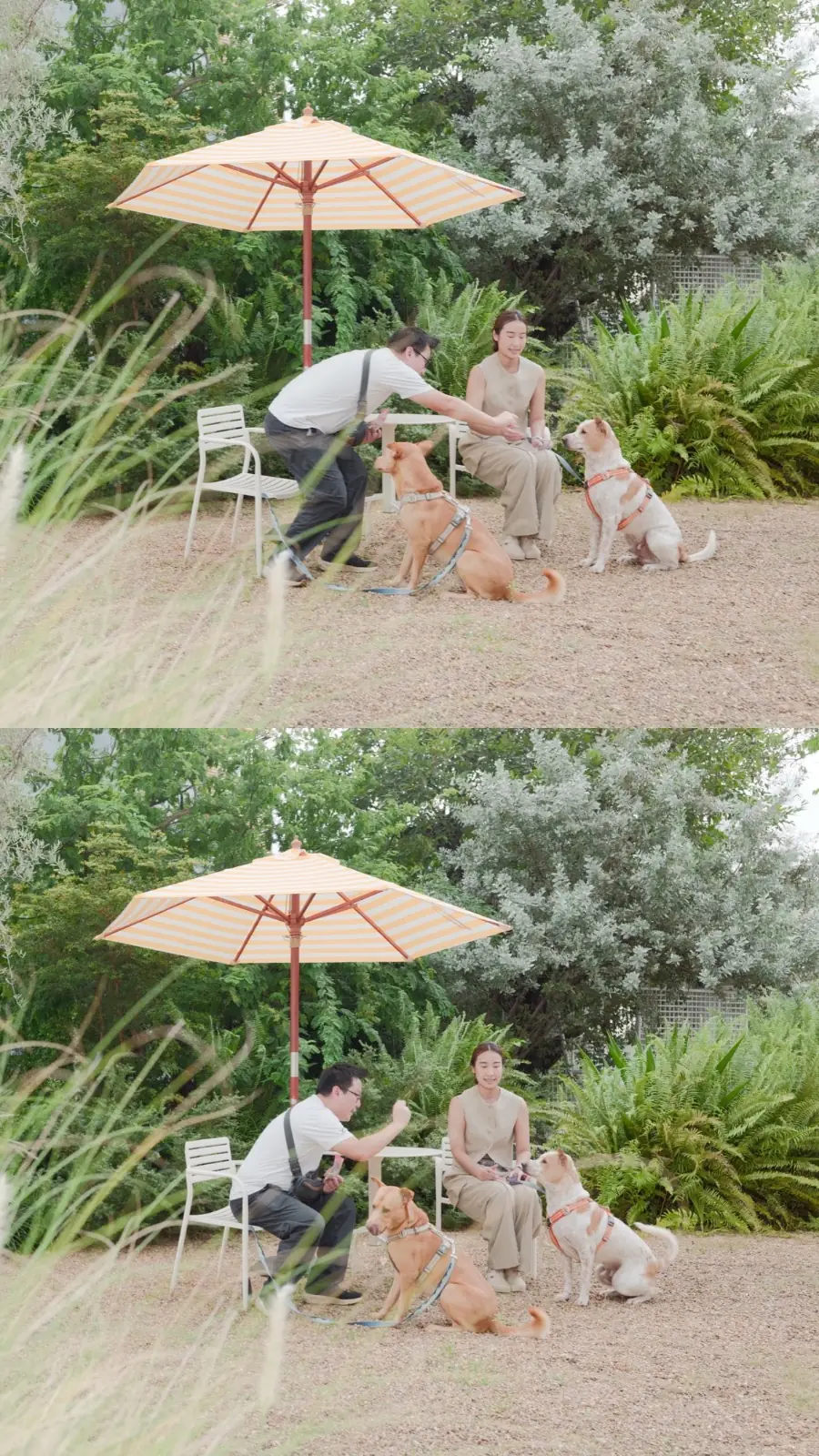 dash.space pets image 4