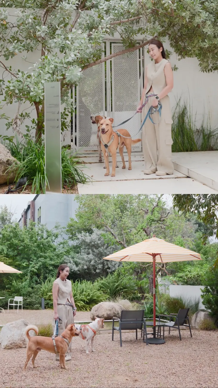 dash.space pets image 7