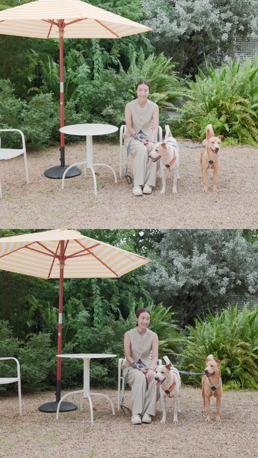 dash.space pets image 6