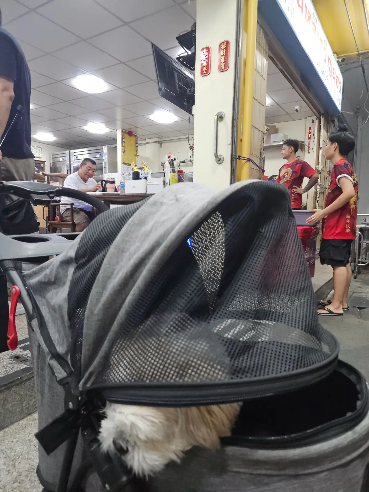 ง่วนหลีเจริญนคร pets image 2