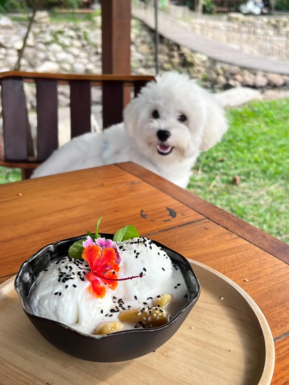 Montra Cafe by ไร่วังบอน food image 1