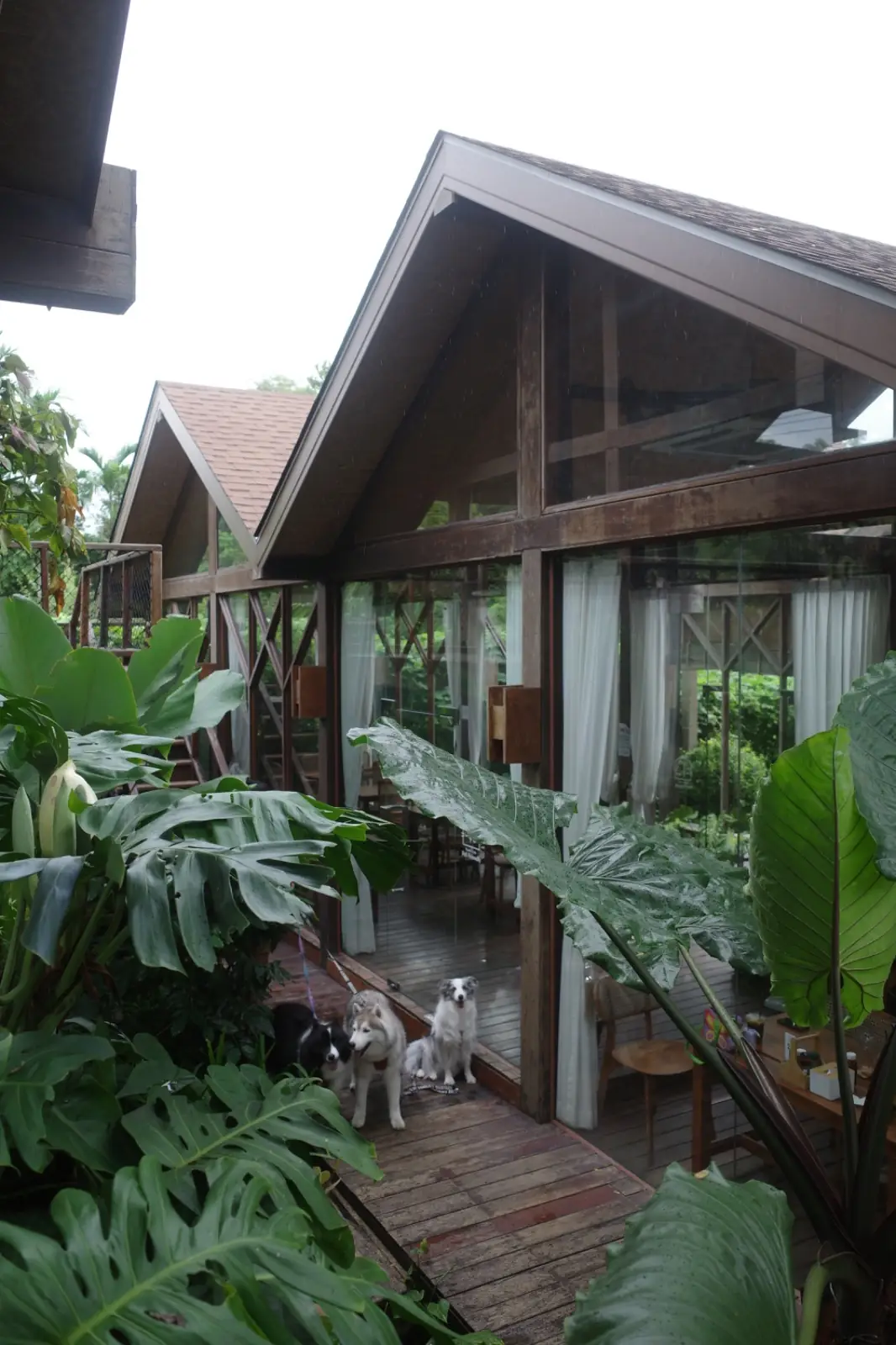 Montra Cafe by ไร่วังบอน overall image 7