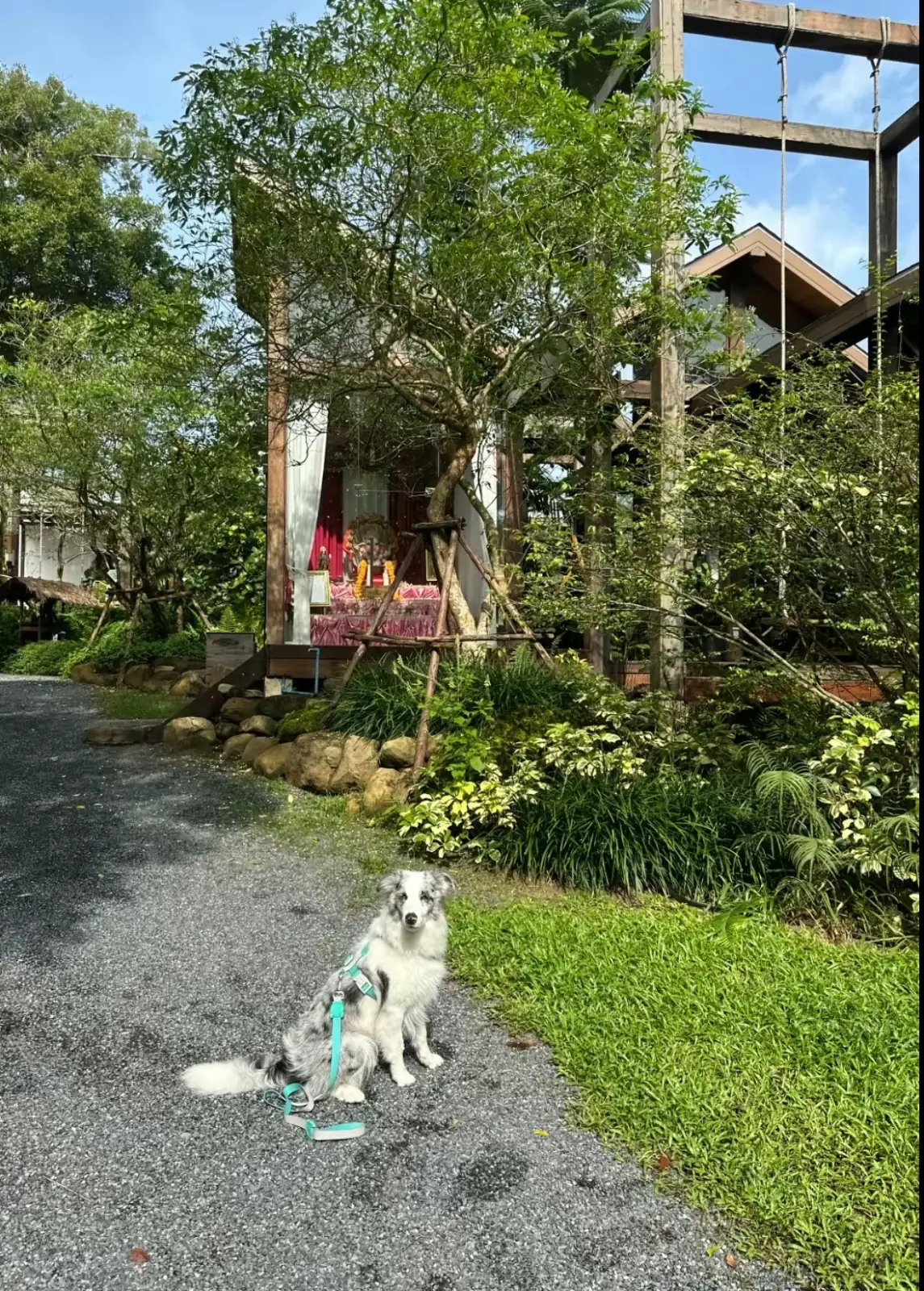 Montra Cafe by ไร่วังบอน pets image 1