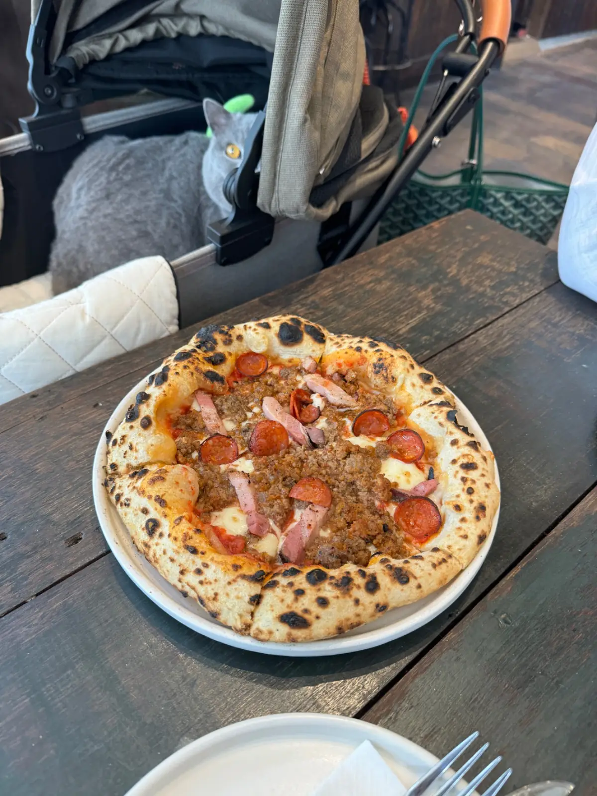 Kenny's BKK - Sukhumvit 31 pets image 2