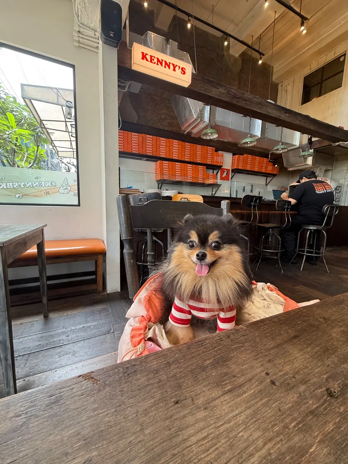 Kenny's BKK - Sukhumvit 31 pets image 5