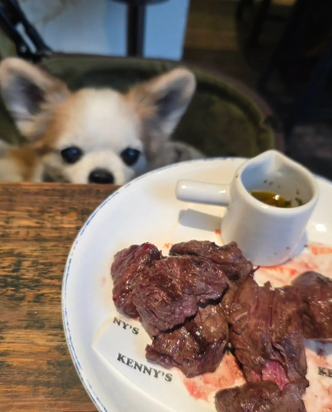 Kenny's BKK - Sukhumvit 31 pets image 1