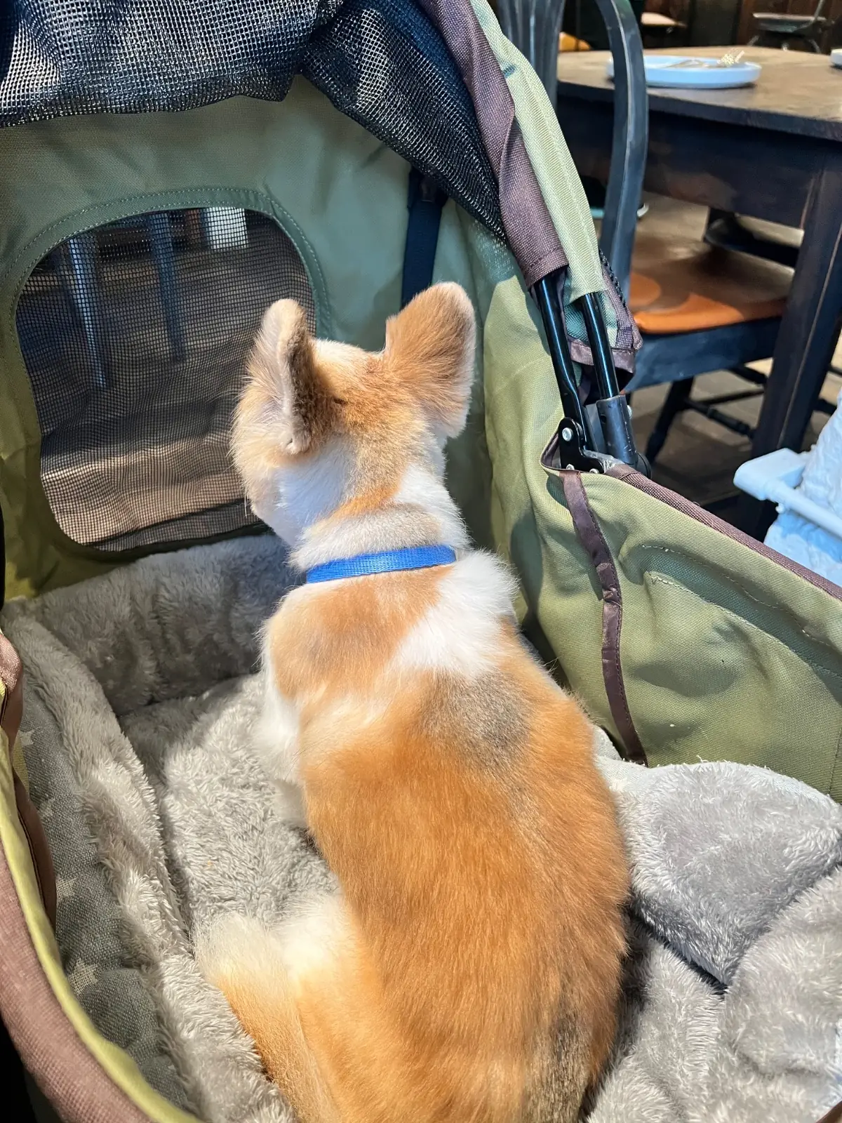 Kenny's BKK - Sukhumvit 31 other image 1