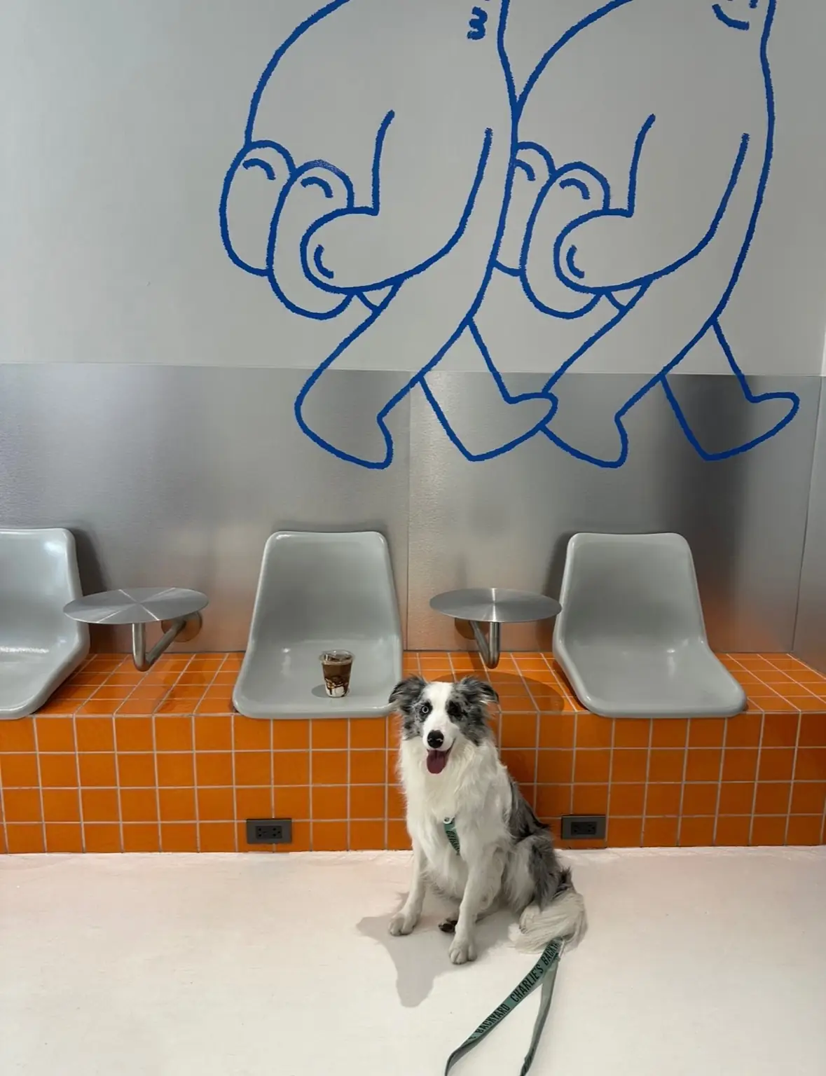 Two Hands Coffee Roaster pets image 1