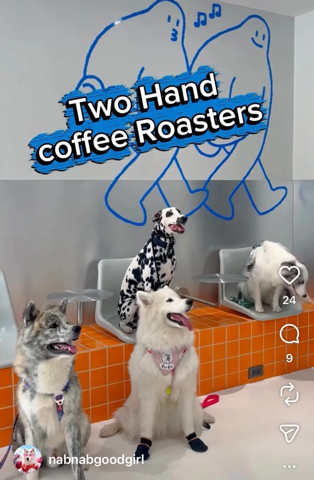 Two Hands Coffee Roaster pets image 2