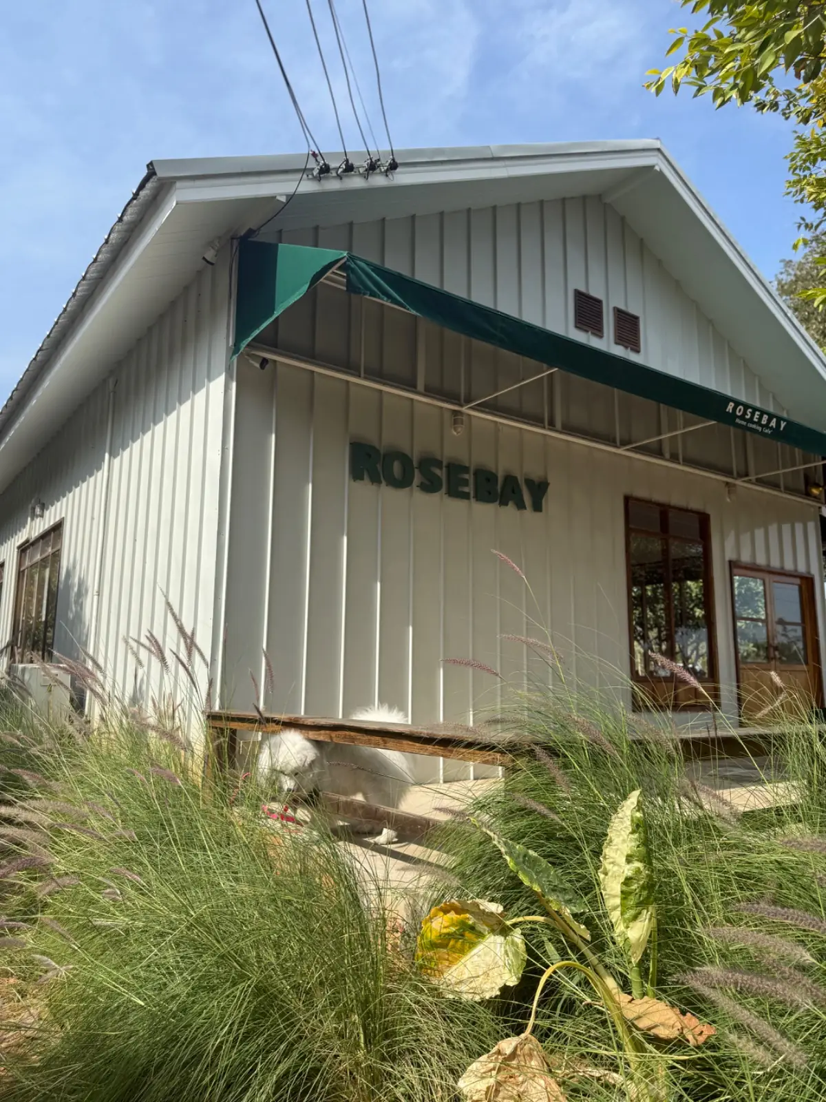 Rosebay Homecooking Cafe overall image 1