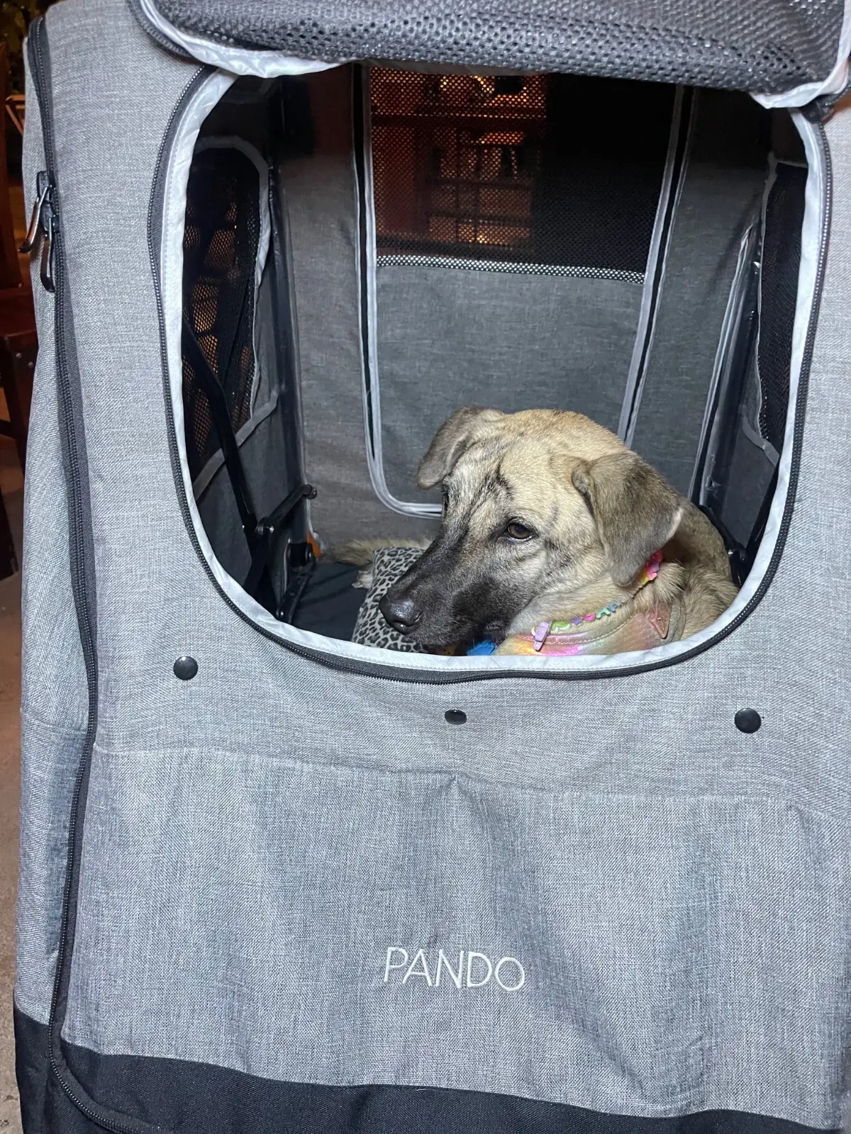 The Riverside Suratthani pets image 1