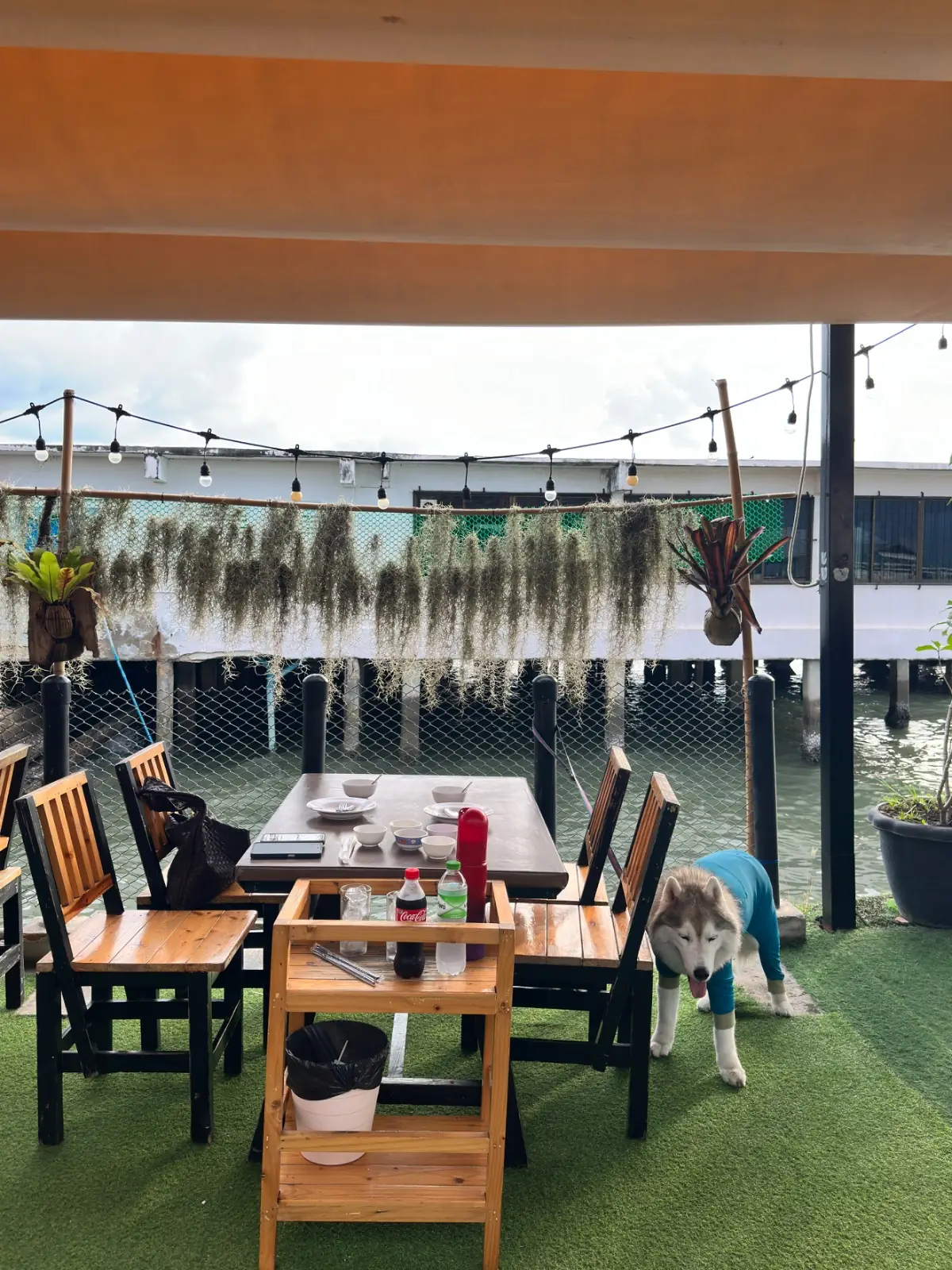 ครัวไต้ก๋ง - บางเสร่ pets image 1