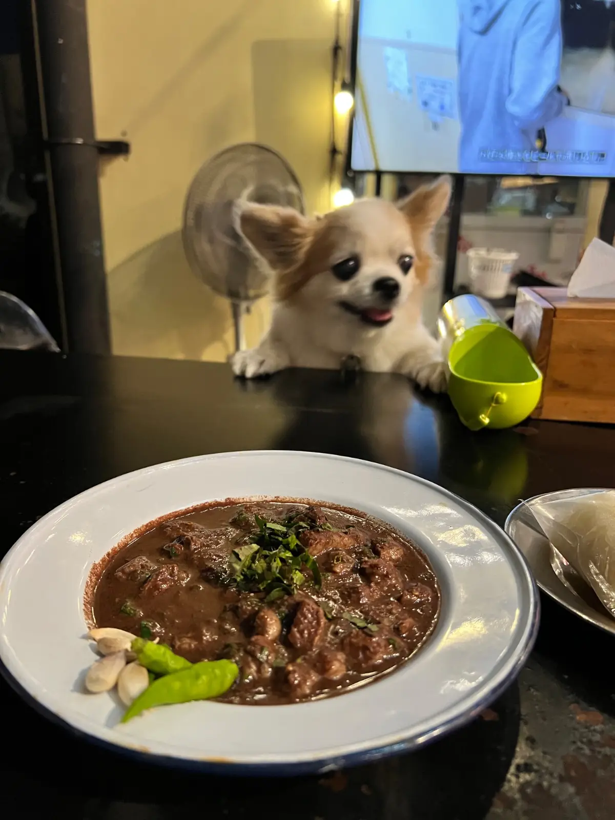 ลาบกรุงสโมสร pets image 2