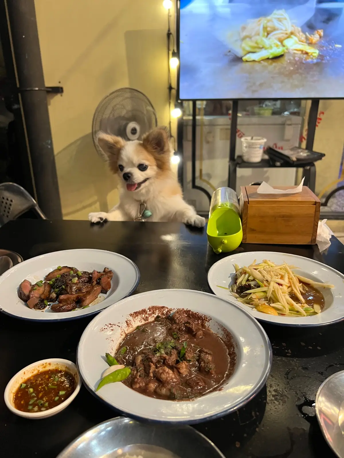 ลาบกรุงสโมสร pets image 1