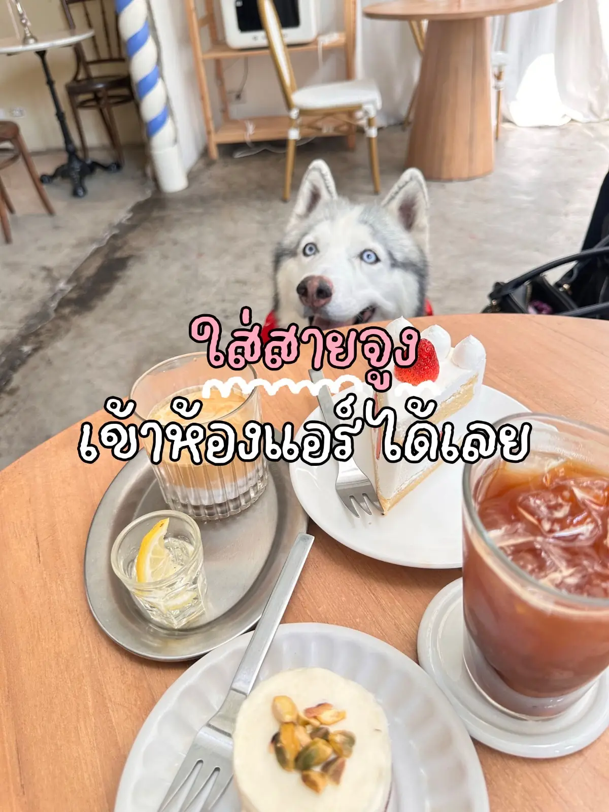 Unbirthday pets image 1