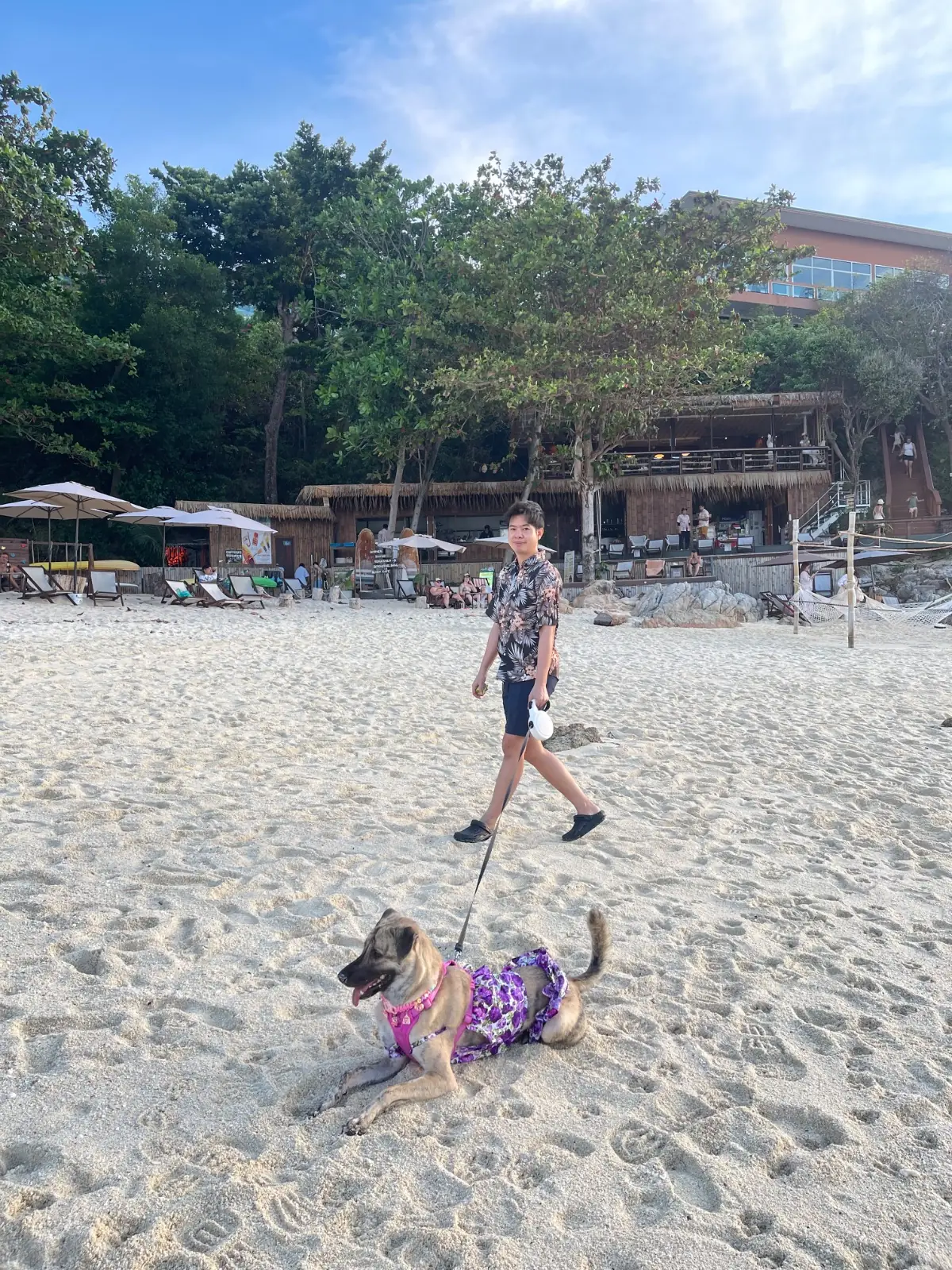 SYMBOLIC CAFE pets image 2