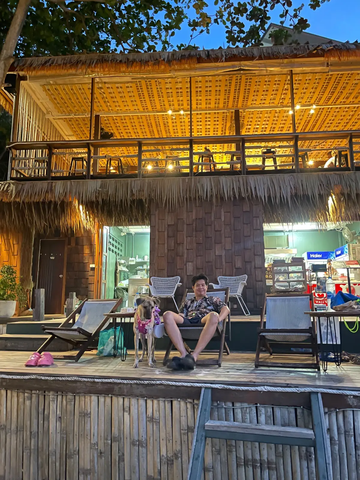 SYMBOLIC CAFE pets image 1