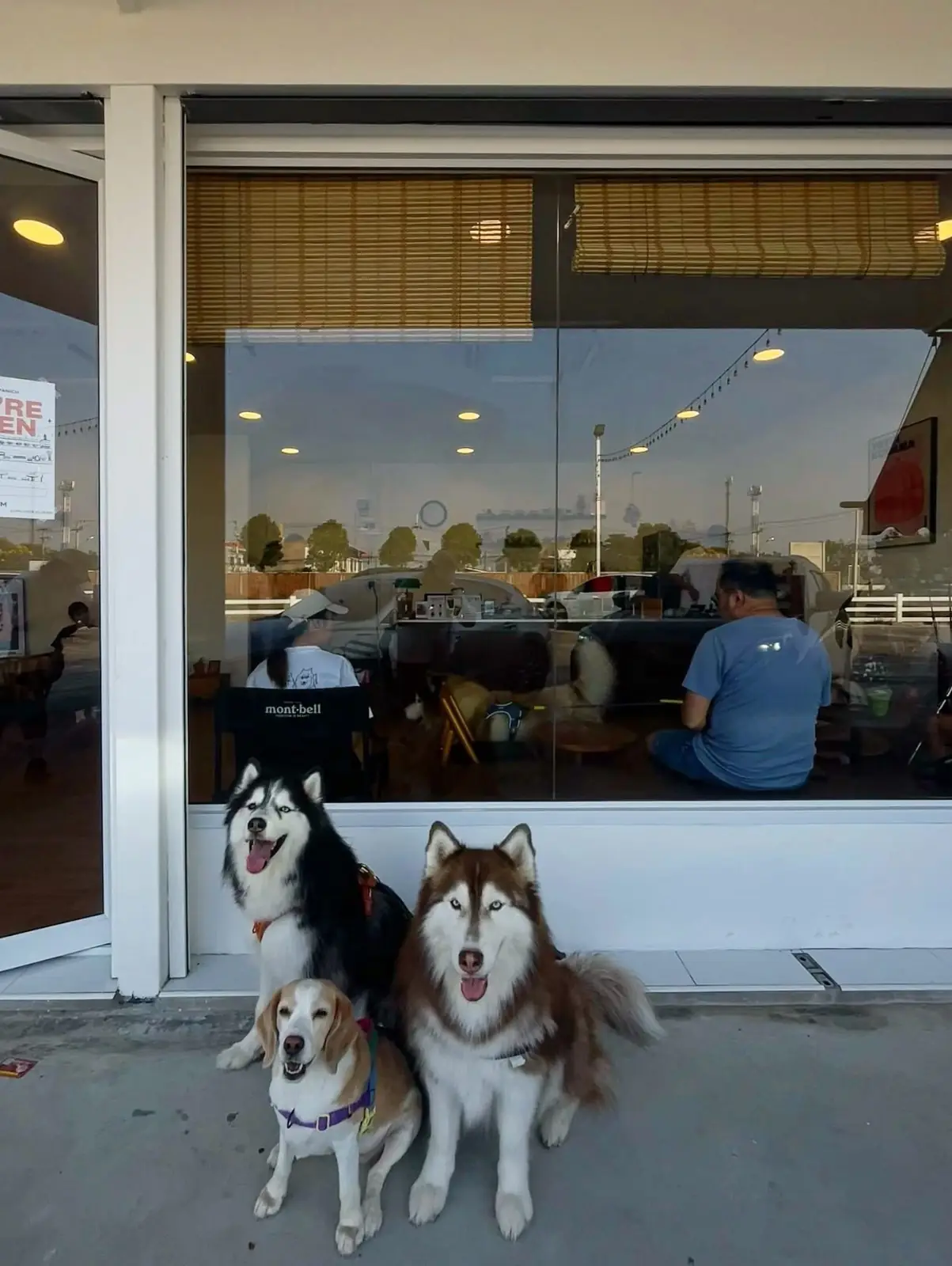 MatchaPanich pets image 2