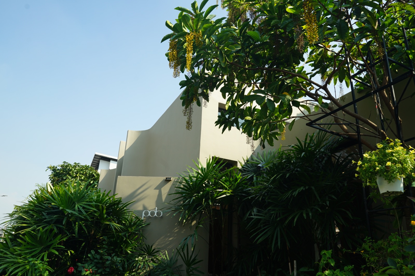 POB ambiance image 14