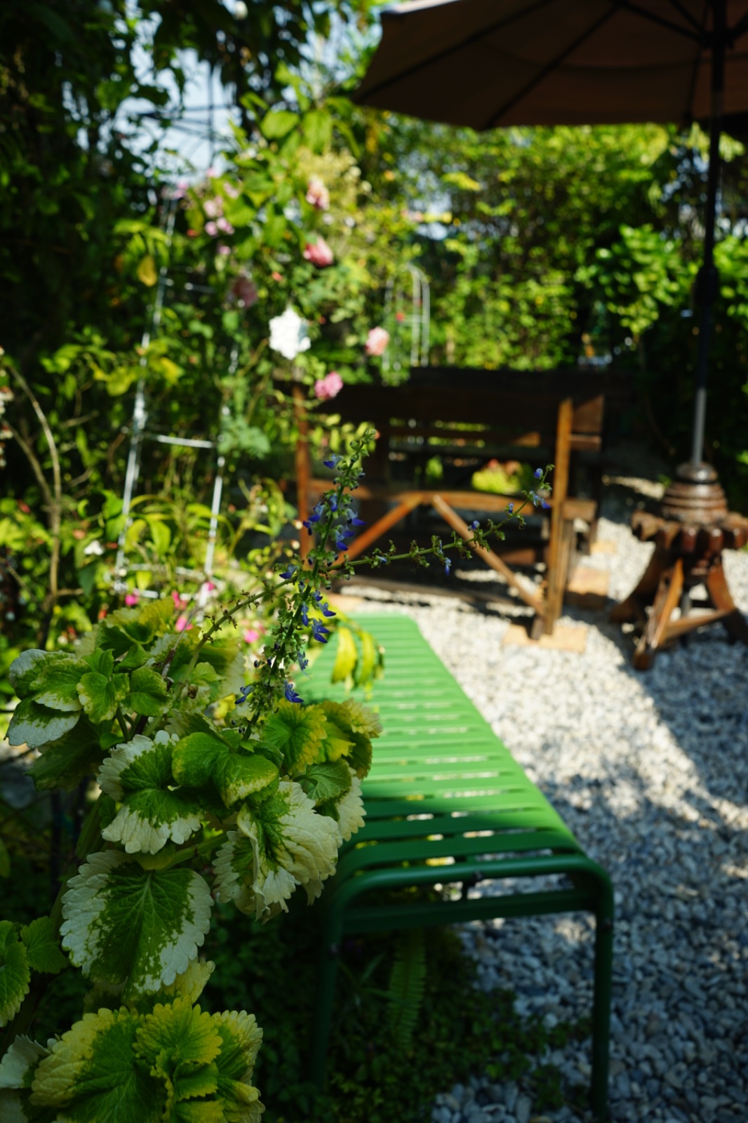 POB ambiance image 2