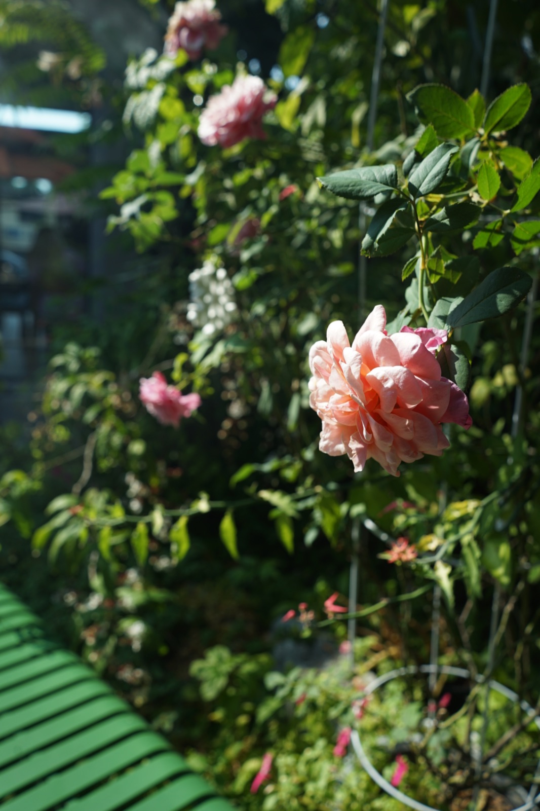 POB ambiance image 11