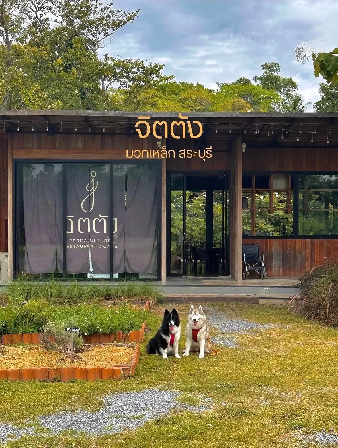 Jittang Restaurant & Cafe overall image 1