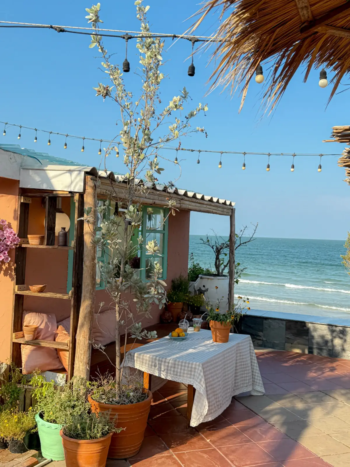 Chaplu Cafe & Restaurant ambiance image 2