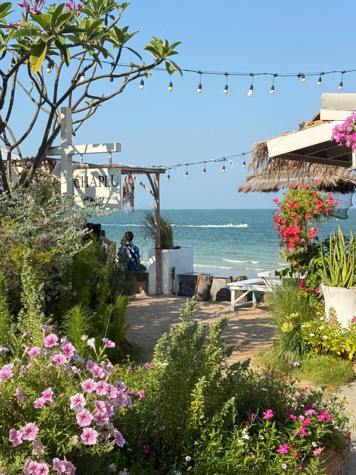 Chaplu Cafe & Restaurant overall image 2