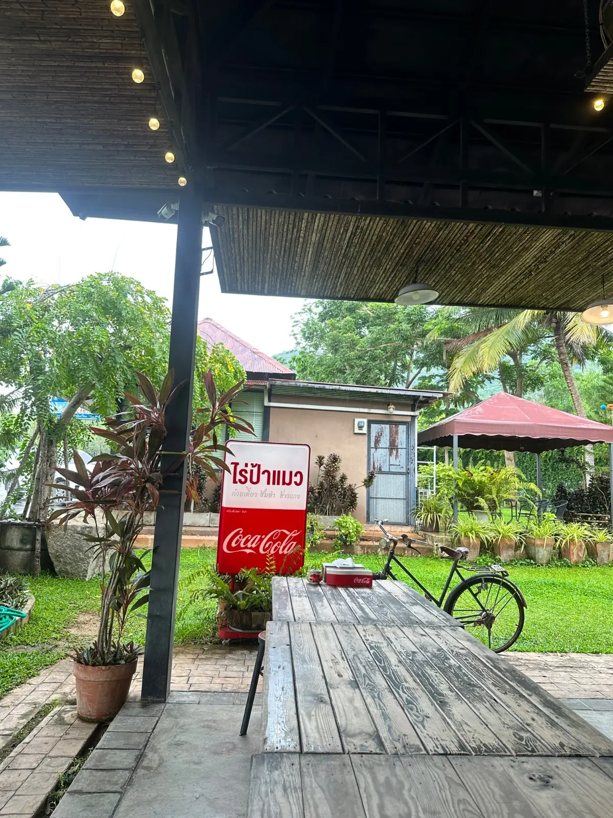 ร้านอาหารไร่ป้าแมว overall image 1