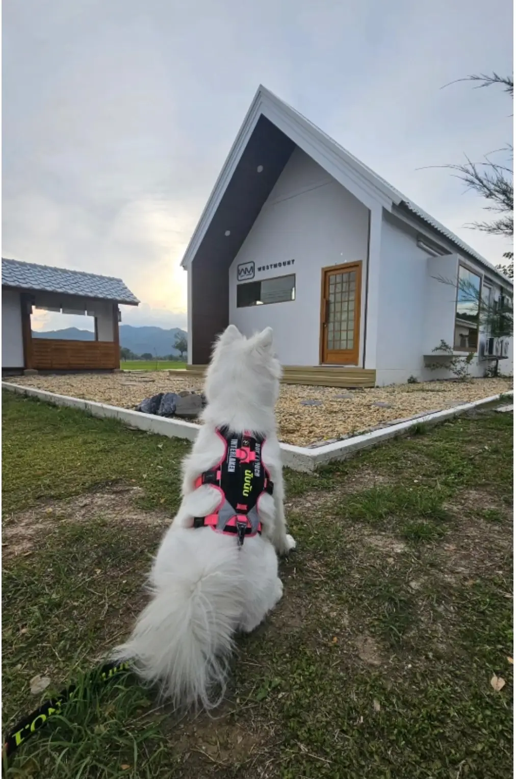 West Mount Cafe & Restaurant pets image 2