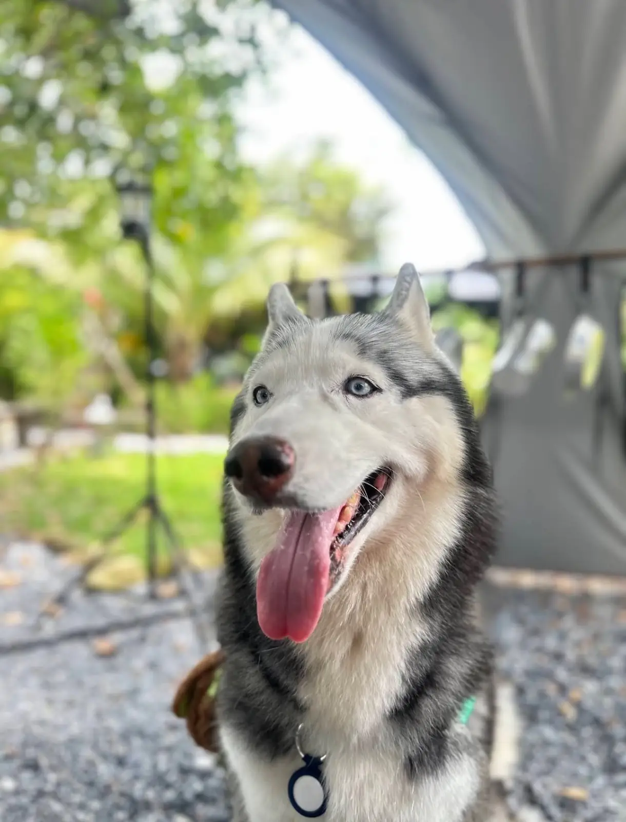 Coffee Camps moka pot pets image 1