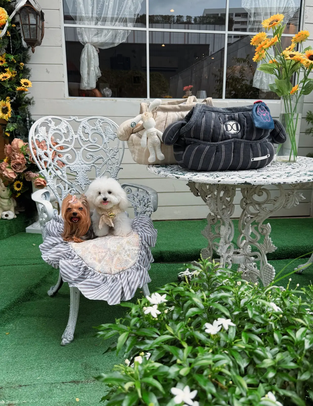 Fairy Garden BKK pets image 5