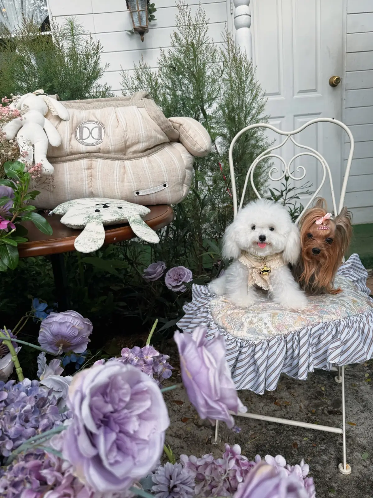 Fairy Garden BKK pets image 1
