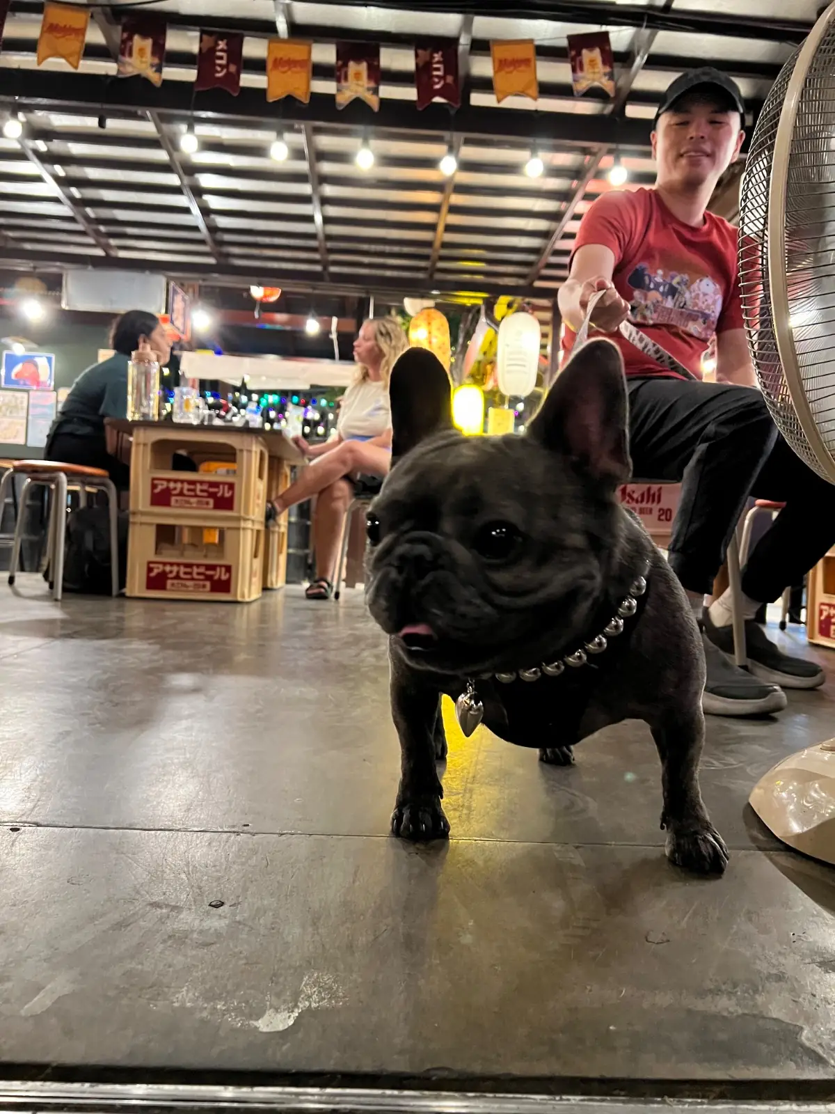 Thong Lo Yokocho other image 1