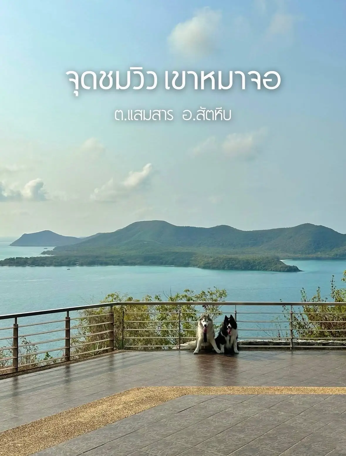 จุดชมวิวยอดเขาหมาจอ pets image 3