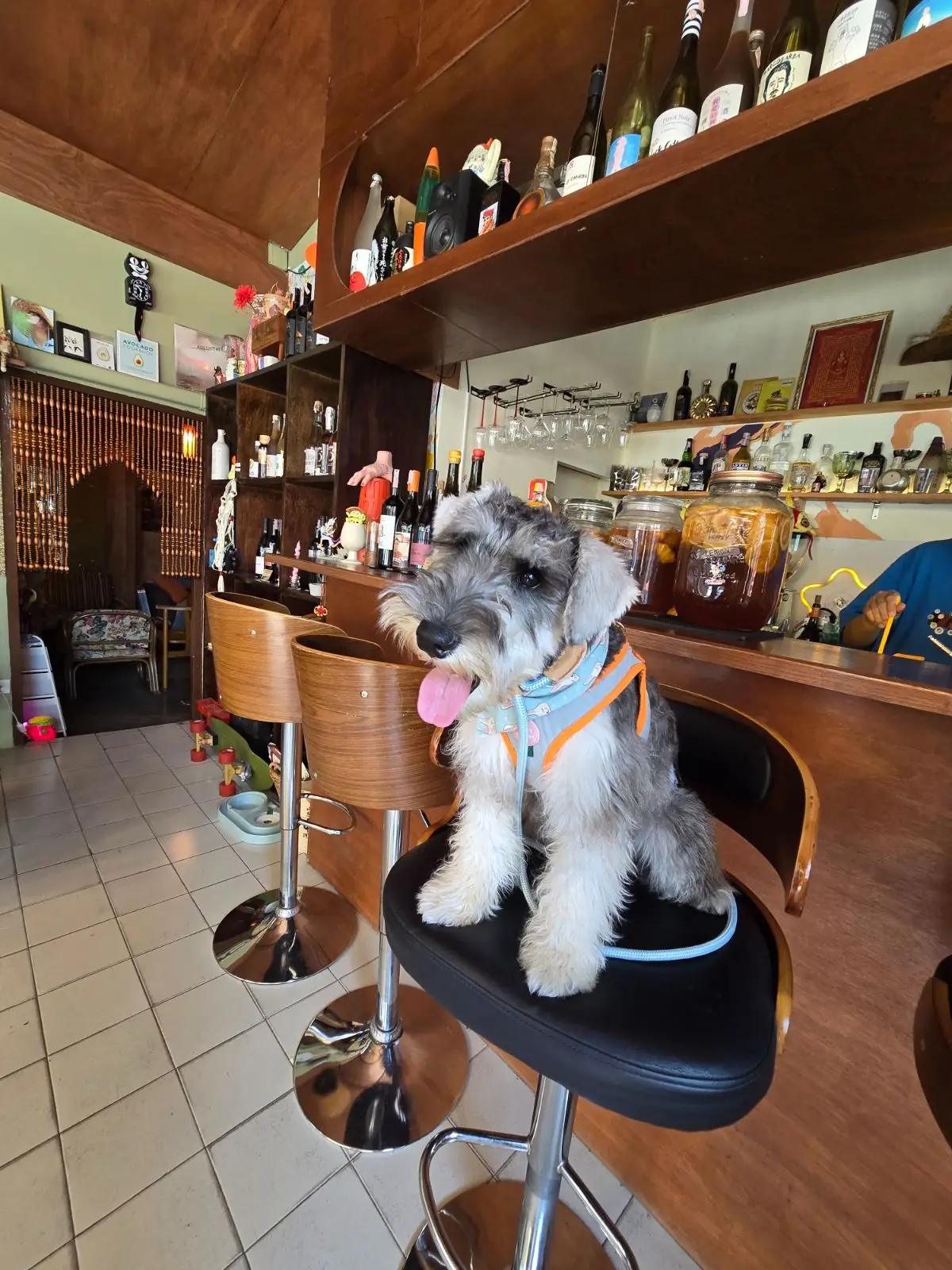 Oh! Vacoda Cafe & The Fruit Bar Club pets image 1