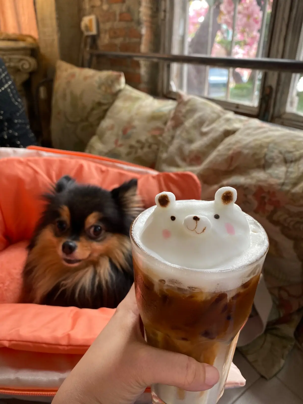 B-Story Garden Café & Restaurants pets image 4