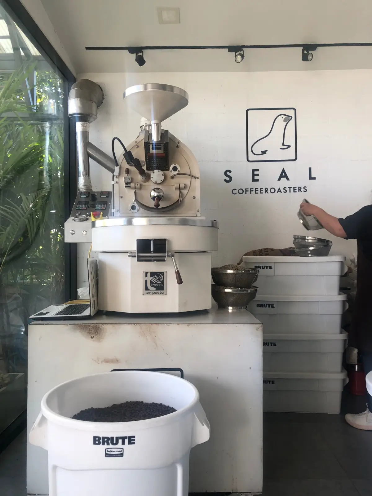 SEAL COFFEE HOUSE overall image 1