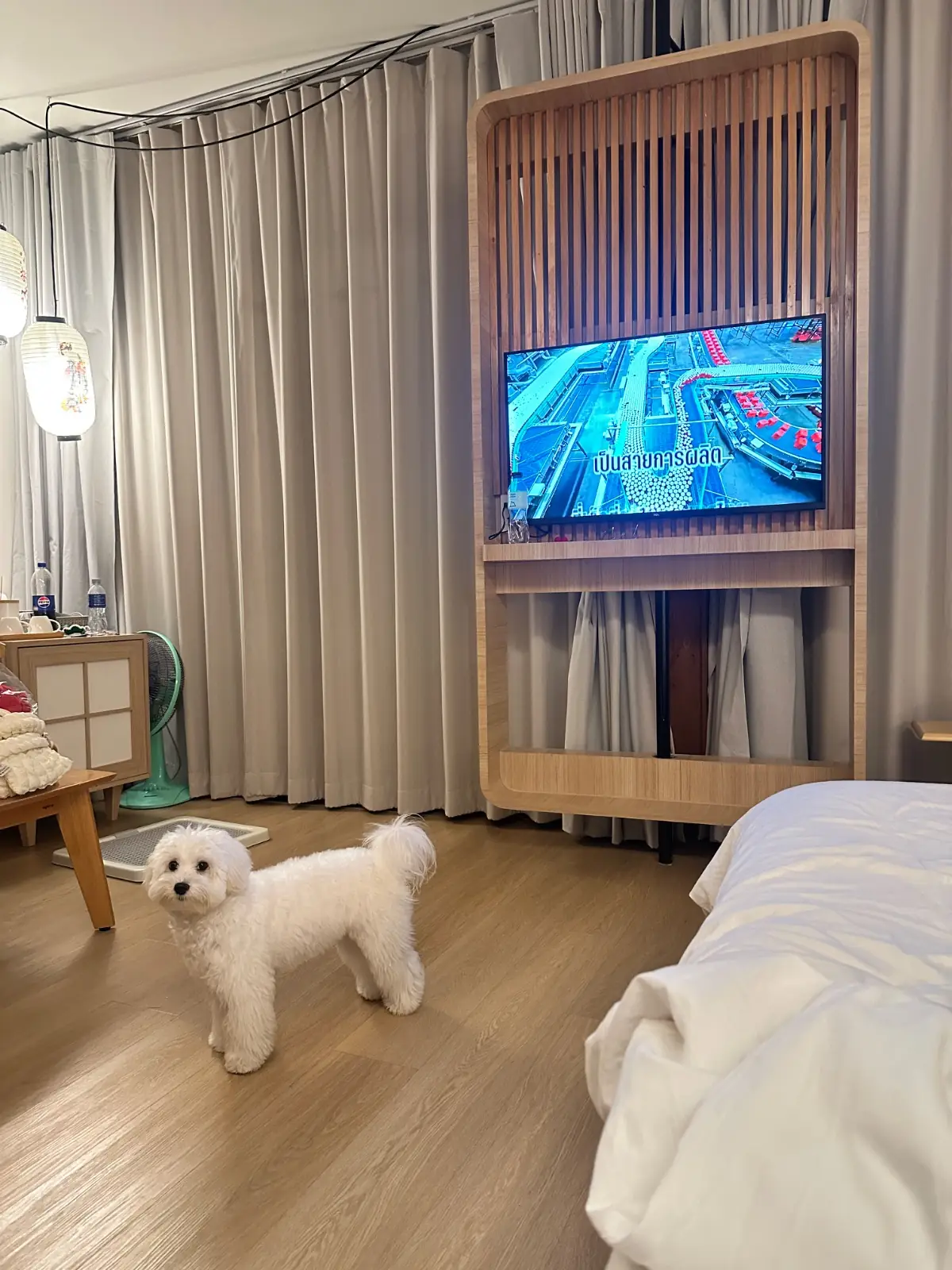วิลล่าพนาลัย นครนายก rooms image 1