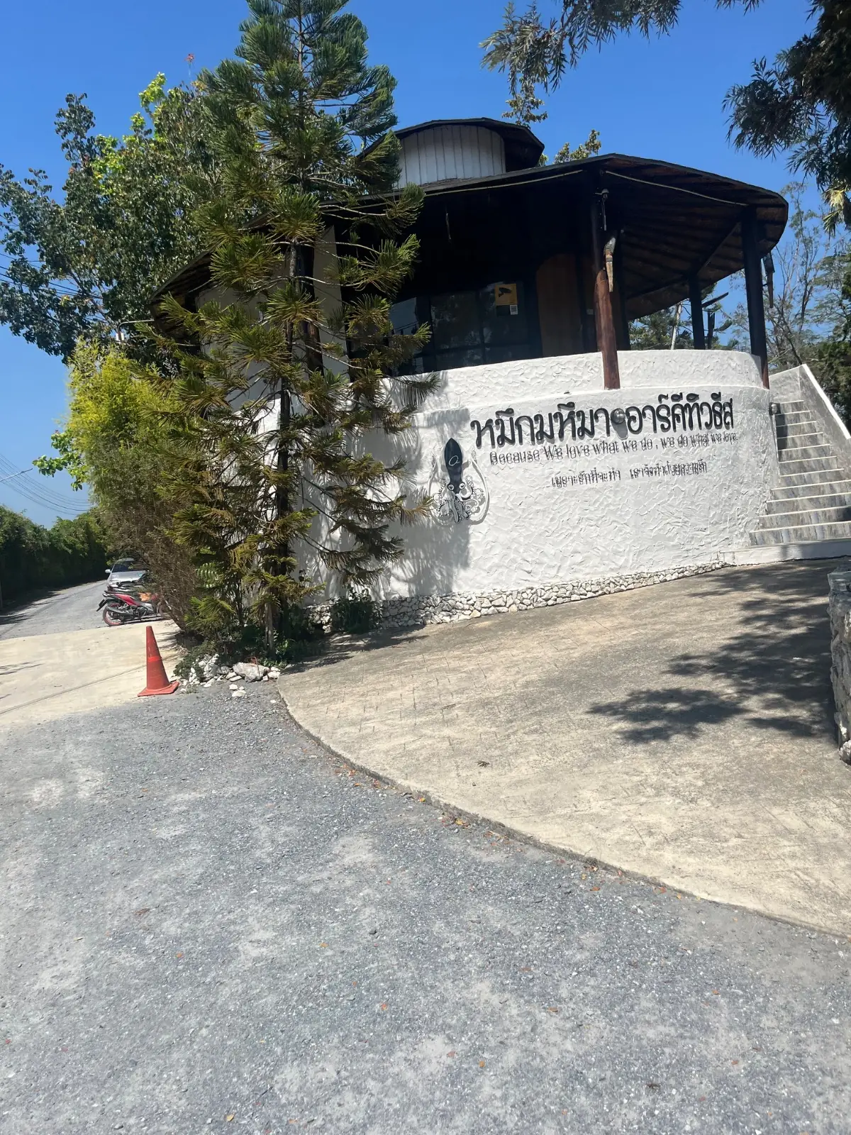 หมึกมหึมา Architeuthis other image 4