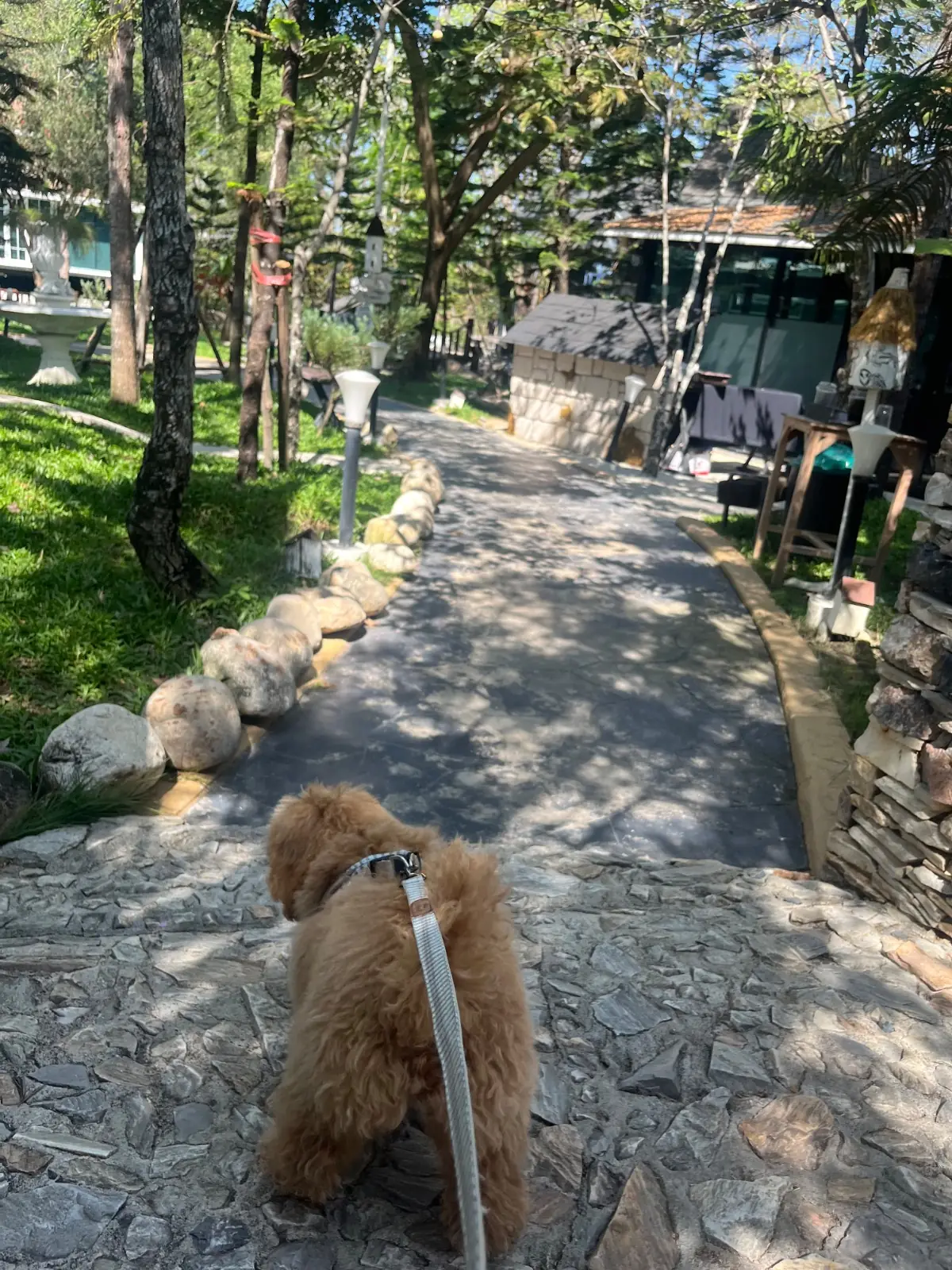 หมึกมหึมา Architeuthis other image 2